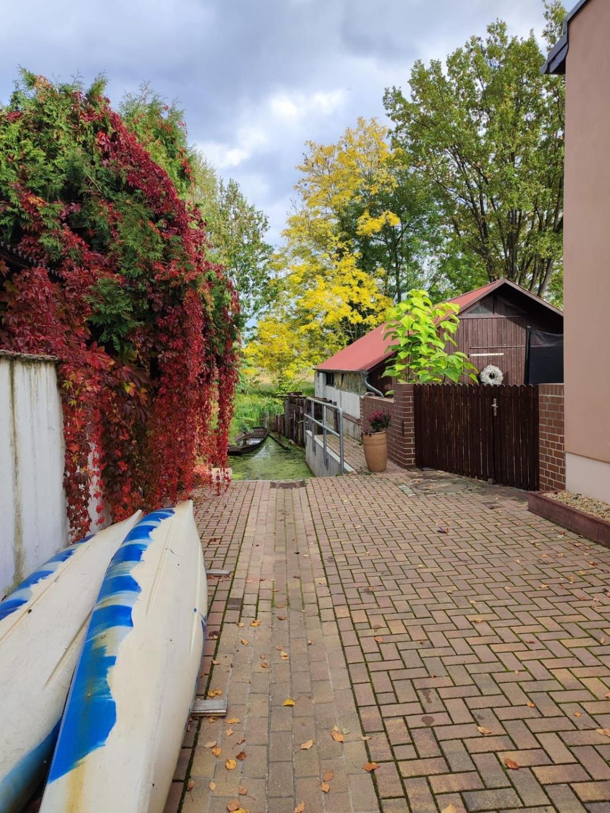فندق Pension Am Stadtgraben لوبنو المظهر الخارجي الصورة